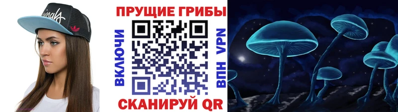 Галлюциногенные грибы мицелий  Междуреченск 