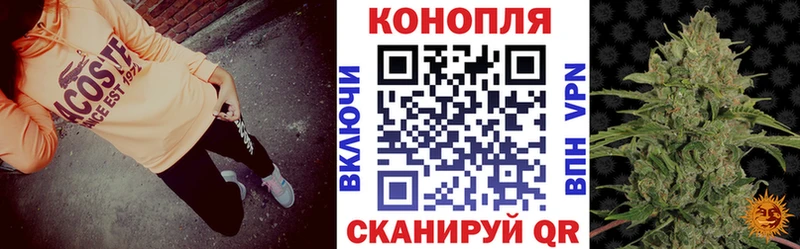 Конопля Bruce Banner  Междуреченск 